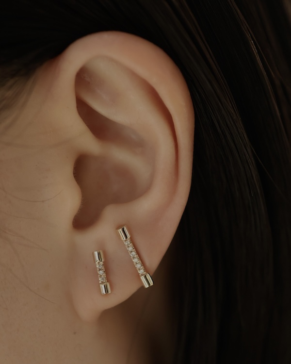 ヒロタカ (ピアス)